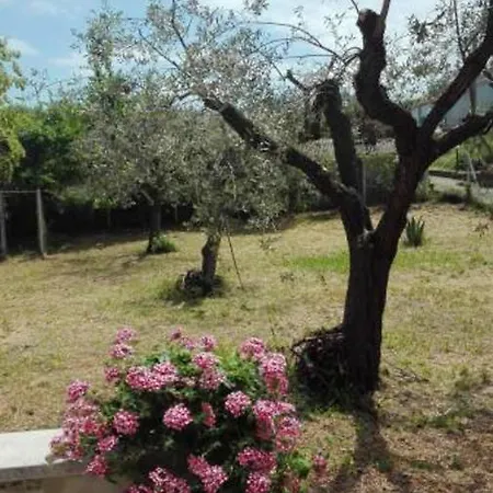One Bedroom With Sea View Furnished Garden And Wifi At 1 Km Away From The *
