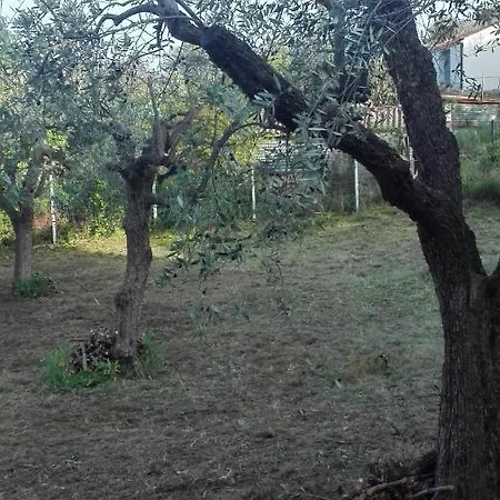 One Bedroom With Sea View Furnished Garden And Wifi At 1 Km Away From The Апартаменты *